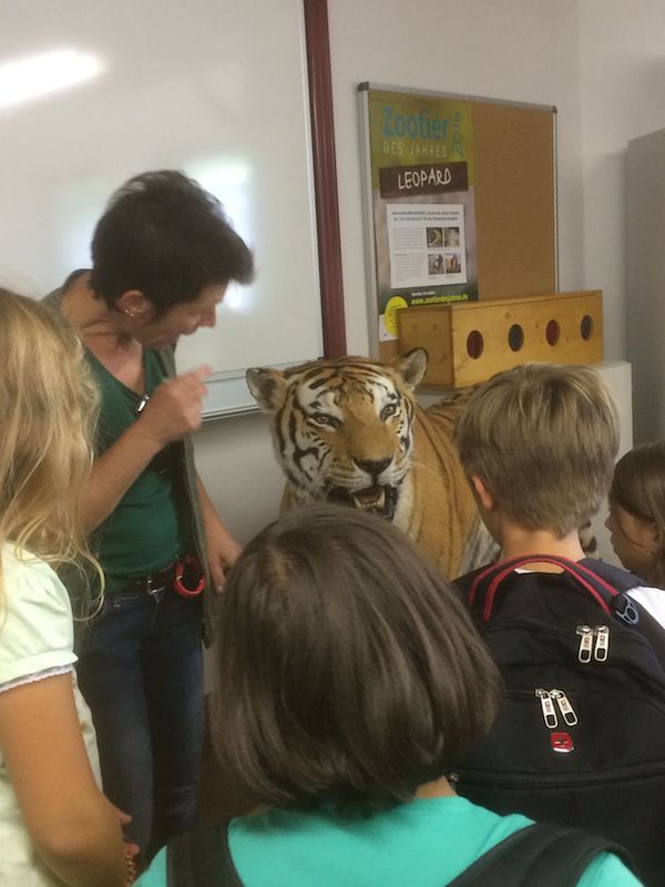 zoo1